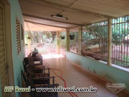 Granja de suínos e aves no Triângulo Mineiro