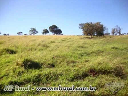 Fazenda em Ituiutaba para cana