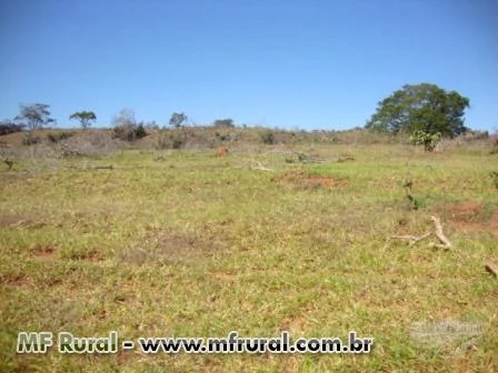Fazenda em Monte Alegre de Minas,111 hectares, permuto