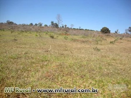 Fazenda em Monte Alegre de Minas,111 hectares, permuto