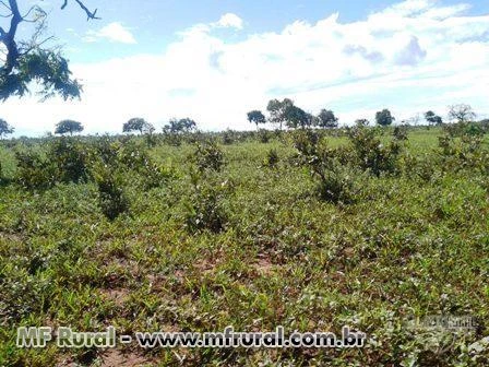 Fazenda beira Rio, bem localizada, 8 km da BR-365