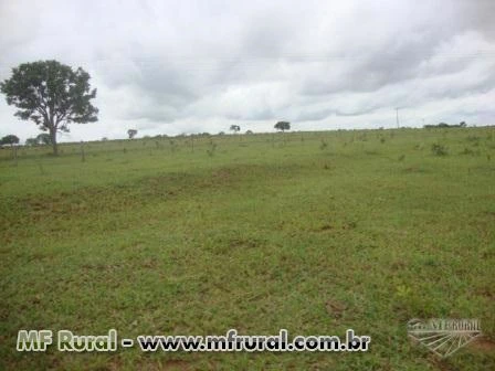 Fazenda beira Rio, bem localizada, 8 km da BR-365