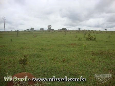 Fazenda beira Rio, bem localizada, 8 km da BR-365