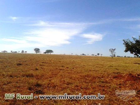 Fazenda plana e sem reserva no Prata, Triângulo Mineiro