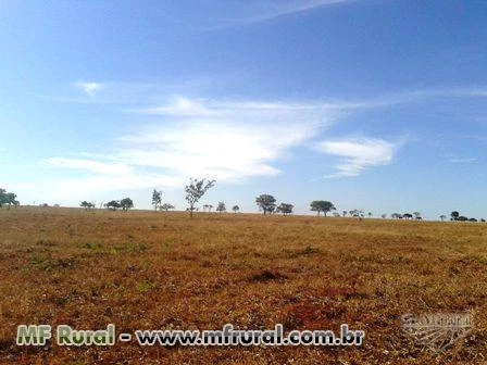 Fazenda plana e sem reserva no Prata, Triângulo Mineiro