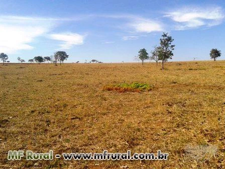 Fazenda plana e sem reserva no Prata, Triângulo Mineiro