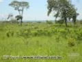 Fazenda para lavoura, irrigação