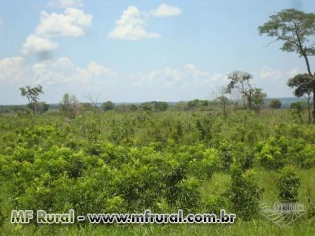 Fazenda para lavoura, irrigação