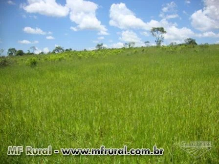 Fazenda para lavoura, irrigação