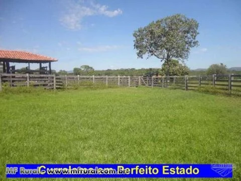 Fazenda Plana muito boa no município de Paranã - TO. Estrutura completa