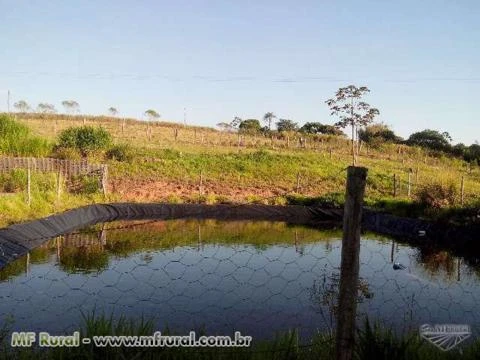 SITIO 3KM DE GARÇA