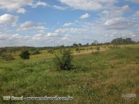 FAZENDA EM PRESIDENTE OLEGARIO(MG)