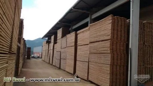 Promoção  de madeiras de pallets