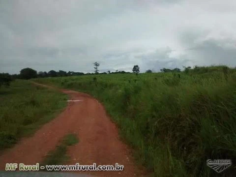 Sul do Pará, entre Xinguara e Rio Maria