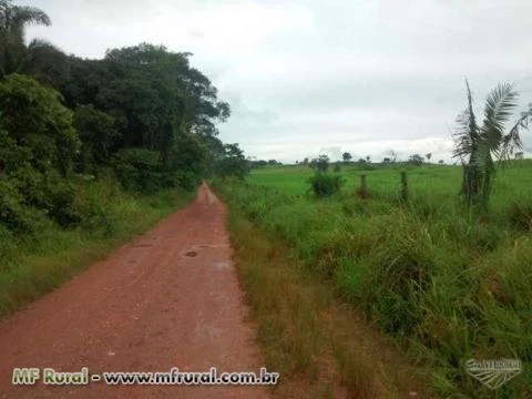 Sul do Pará, entre Xinguara e Rio Maria