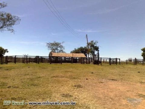 Fazenda com 1161 hectares em Campos Belos - GO.