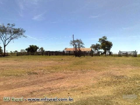 Fazenda com 1161 hectares em Campos Belos - GO.