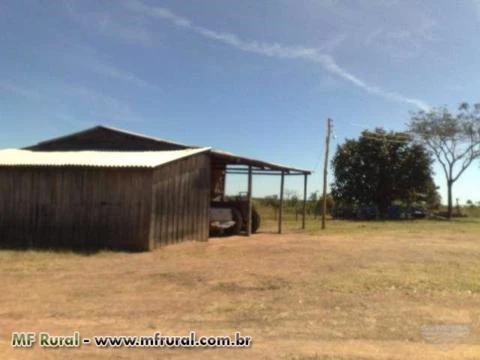 Fazenda com 1161 hectares em Campos Belos - GO.