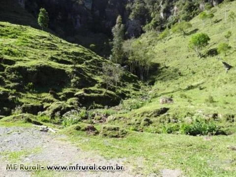 Fazenda com 86 hectares,casa, mangueira, muita pastagem, lagos e montanhas