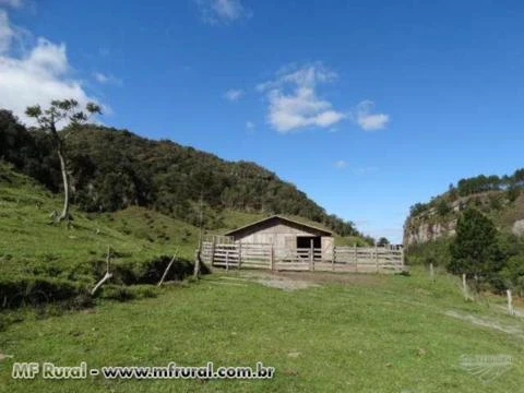 Fazenda com 86 hectares,casa, mangueira, muita pastagem, lagos e montanhas