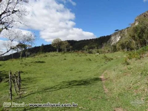 Fazenda com 86 hectares,casa, mangueira, muita pastagem, lagos e montanhas