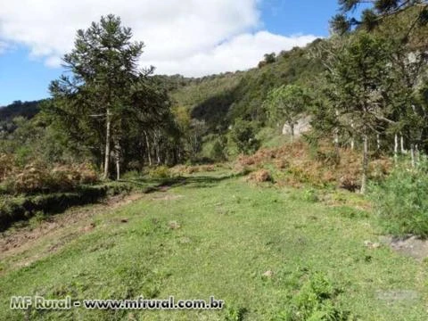 Fazenda com 86 hectares,casa, mangueira, muita pastagem, lagos e montanhas