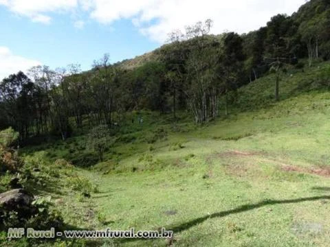 Fazenda com 86 hectares,casa, mangueira, muita pastagem, lagos e montanhas