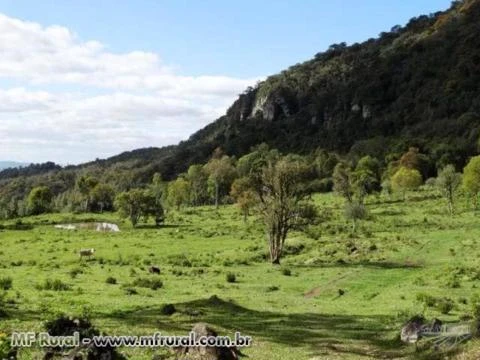 Fazenda com 86 hectares,casa, mangueira, muita pastagem, lagos e montanhas