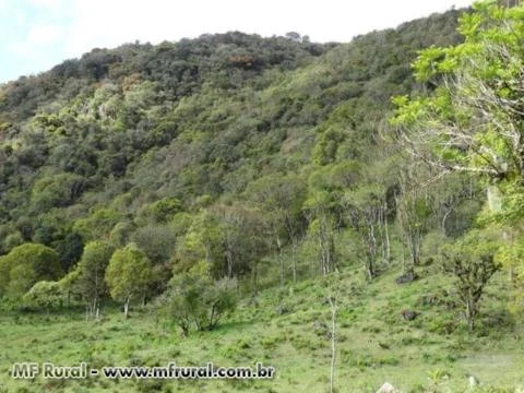 Fazenda com 86 hectares,casa, mangueira, muita pastagem, lagos e montanhas