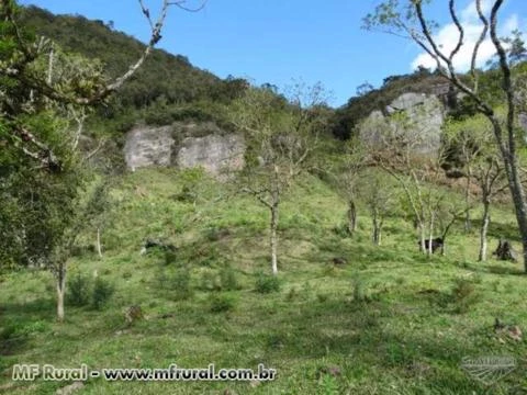 Fazenda com 86 hectares,casa, mangueira, muita pastagem, lagos e montanhas