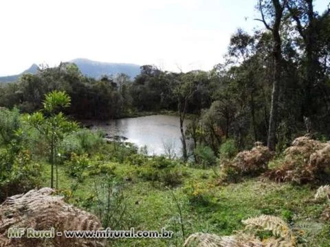 Fazenda com 86 hectares,casa, mangueira, muita pastagem, lagos e montanhas