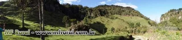 Fazenda com 86 hectares,casa, mangueira, muita pastagem, lagos e montanhas