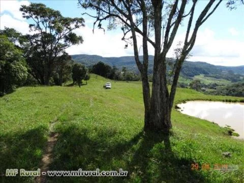 LEOBERTO LEAL 400.000,00 M²  PASTAGEM,ARAUCÁRIAS ,RIO, CÓRREGO E MATA NATIVA