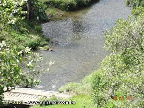 LEOBERTO LEAL 400.000,00 M²  PASTAGEM,ARAUCÁRIAS ,RIO, CÓRREGO E MATA NATIVA