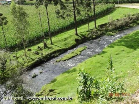 LEOBERTO LEAL 400.000,00 M²  PASTAGEM,ARAUCÁRIAS ,RIO, CÓRREGO E MATA NATIVA