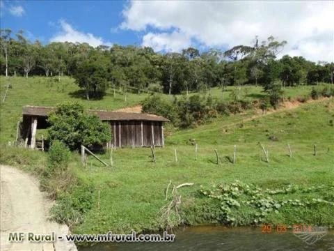 LEOBERTO LEAL 400.000,00 M²  PASTAGEM,ARAUCÁRIAS ,RIO, CÓRREGO E MATA NATIVA