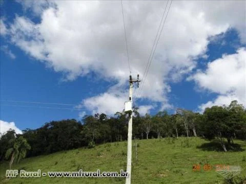 LEOBERTO LEAL 400.000,00 M²  PASTAGEM,ARAUCÁRIAS ,RIO, CÓRREGO E MATA NATIVA