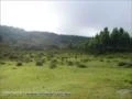 FAZENDA 1320 HECTARES COM 980 MIL ÁRVORES PINUS COM 14 ANOS-SERRA CATARINENSE