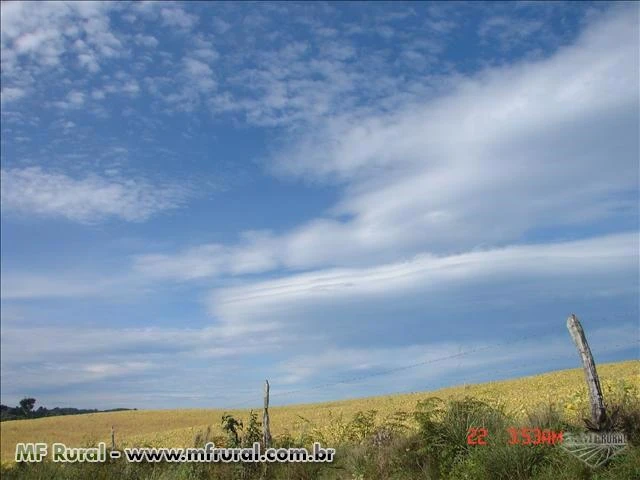 FAZENDA RIO RUFINO - SC COM 142 HECTARES 90% MECANIZÁVEL, ÓTIMO PARA SOJA OU PASTAGEM