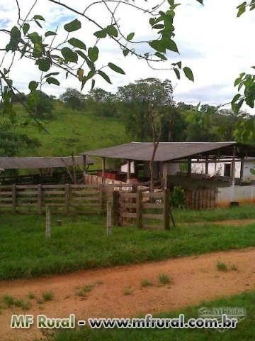 Oportunidade sitio com granja de frango de corte  Monte Santo de Minas MG