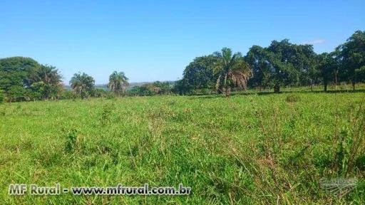 Sitio terra boa, beira rio.