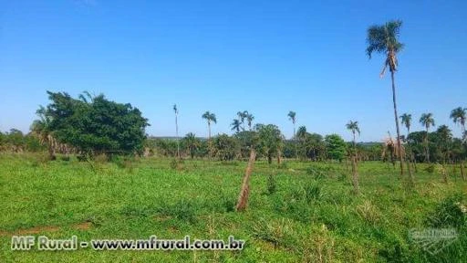 Sitio terra boa, beira rio.