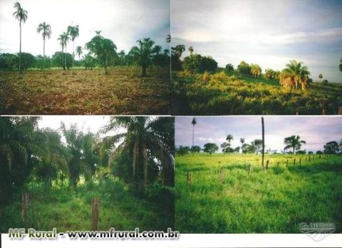 Sitio terra boa, beira rio.