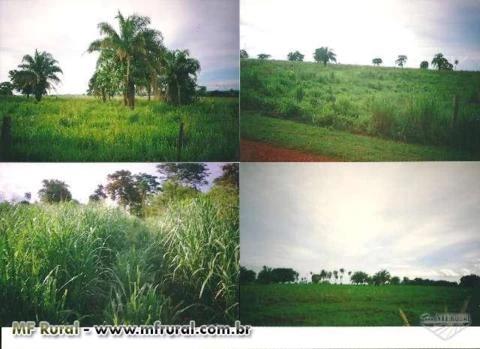 Sitio terra boa, beira rio.