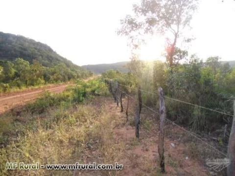 Fazenda Morro redondo