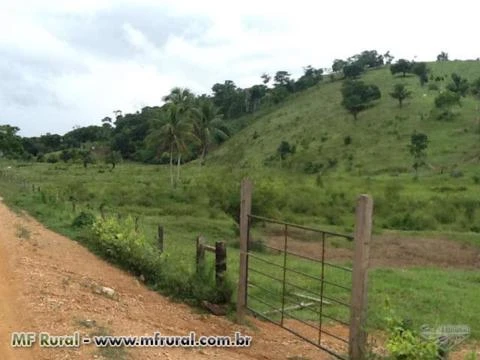 Fazenda no Sudeste da Bahia