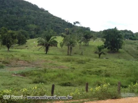 Fazenda no Sudeste da Bahia