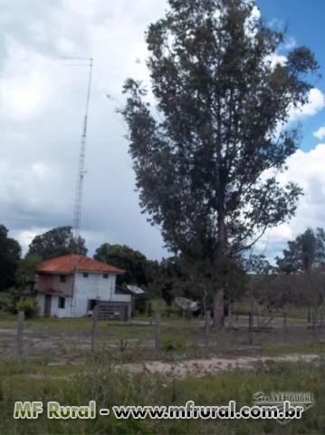 Faz em Tangara da Serra Mt 50km faz Itamarati, 3.117ha, preço Barato:2.099,00ha