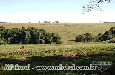 FAZENDA PARA PECUÁRIA E  OUTRAS EM TODO  MATO GROSSO