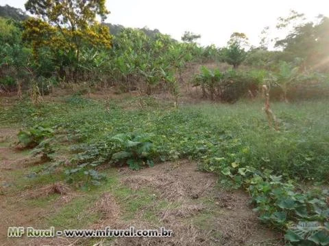 Lindo sitio em Juquiá SP Vale do Ribeira 3 hectares quase todo limpo.Barato